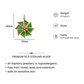 One-of-One 92.5 Silver Mint Enamel Starburst Pendant